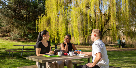 Drei Studierende sitzen an einem Sommertag an einer Sitzbank mit Tisch auf einer Wiese und unterhalten sich gut gelaunt.