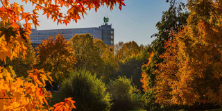 The building of the Department of Mathematics with trees in autumn colors.